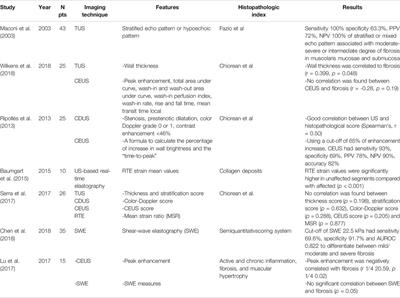 Ultrasonographic Evaluation of Intestinal Fibrosis and Inflammation in Crohn’s Disease. The State of the Art